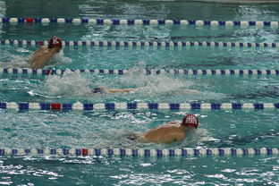 ac米兰官网首页-世界短池游泳锦标赛多项世界纪录诞生，第一届世界短池游泳锦标赛